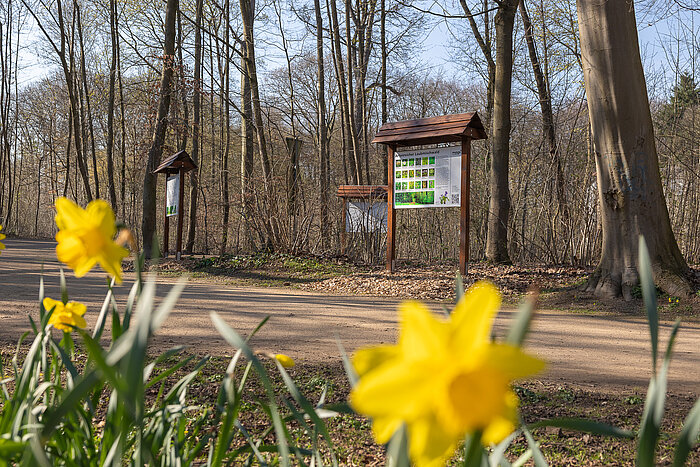 3 Informationstafeln des Waldlehrpfads im Volksgarten.