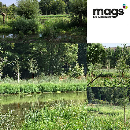 Grünplanung - mags - Mönchengladbacher Abfall-, Grün- und Straßenbetriebe