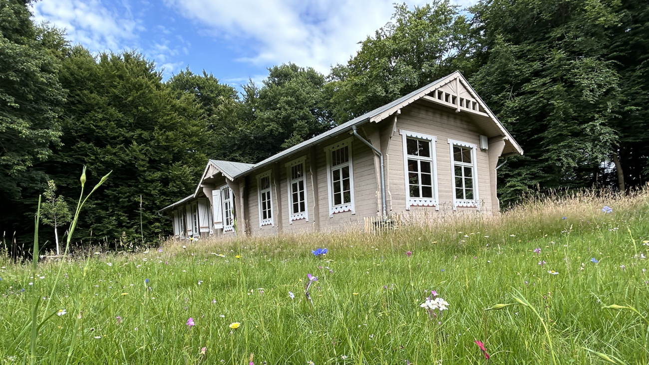 Waldschule im Hardter Wald