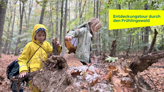 Kinder entdecken den Frühlingswald