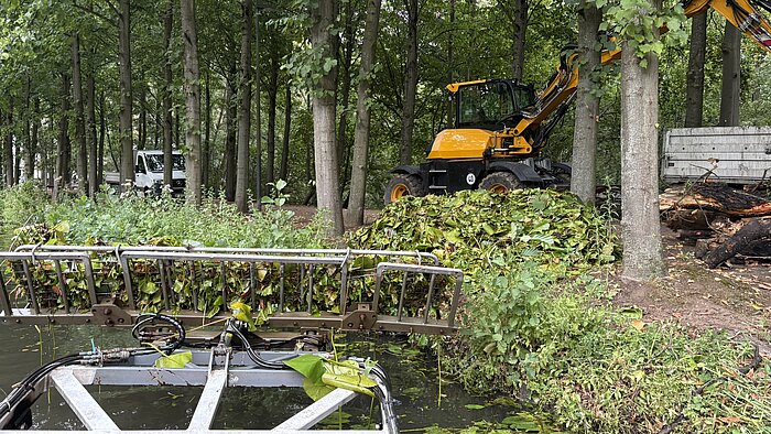 Mit einem Boot und Greifer werden Wasserpflanzen und Baumteile aus den Gewässern geholt. 