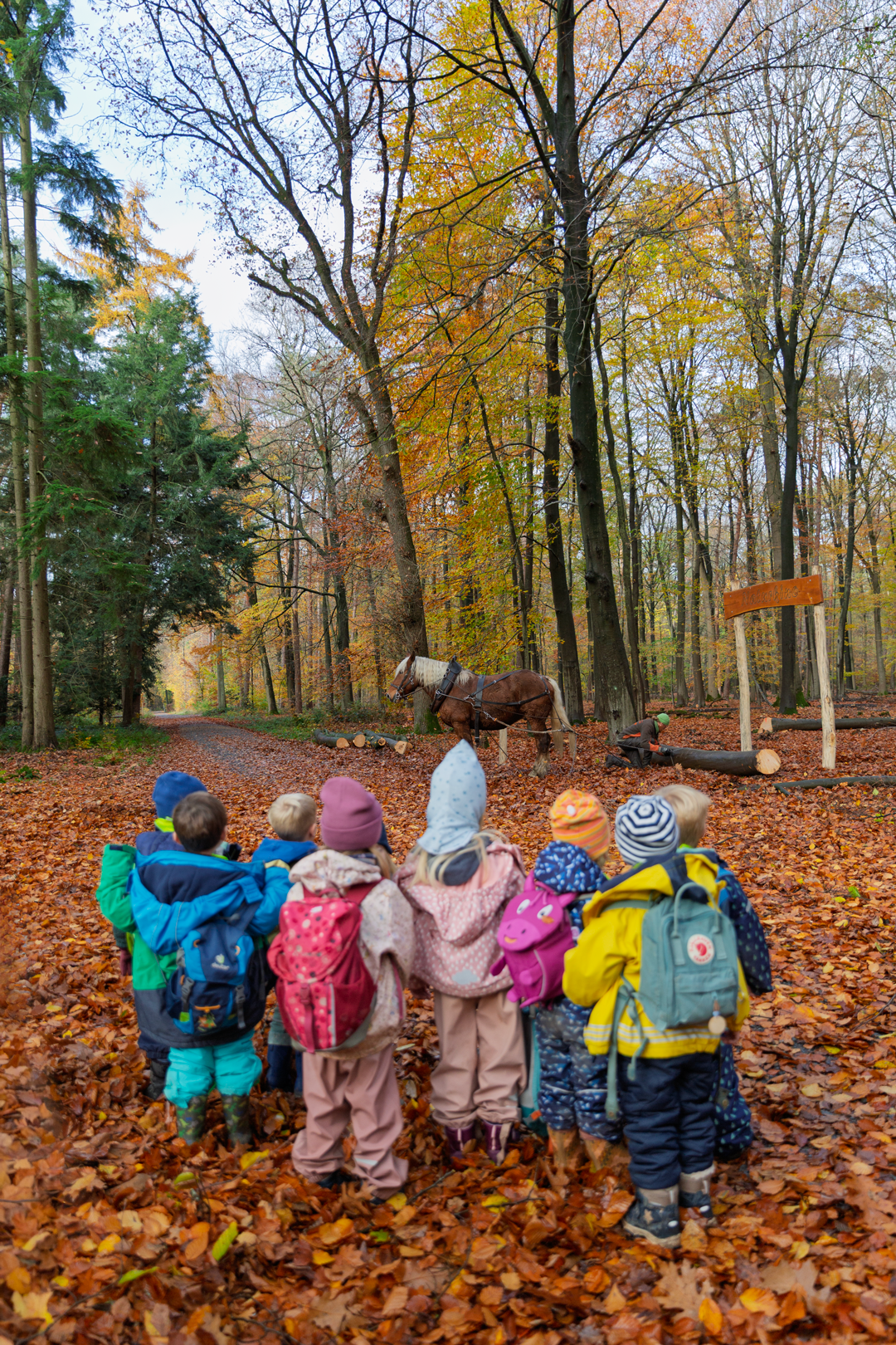 Kindergartenkinder beobachten Rückepferd und Rücker bei der Arbeit.