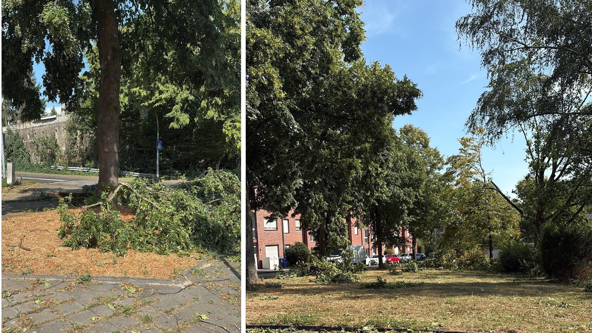 Das Unwetter im Süden von MG hatte am 3.8.2026 diverse Baum-Schäden in Grünanlagen verursacht.