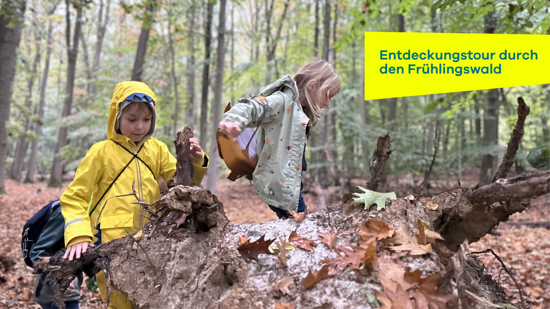 Kinder entdecken den Frühlingswald