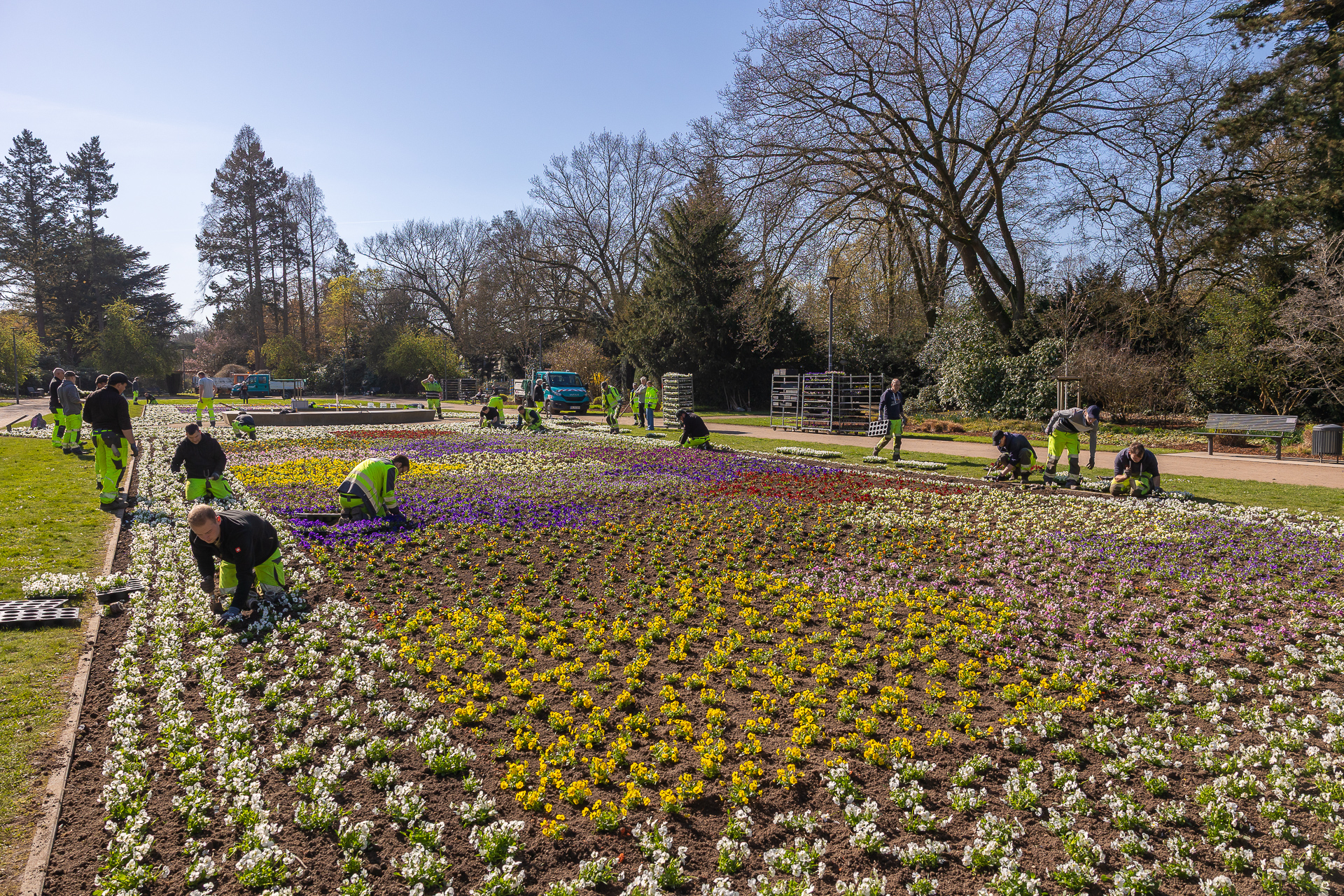 mags-Mitarbeitende der Grünunterhalten bepflanzen das große Blumenparterre im Bunten Garten.
