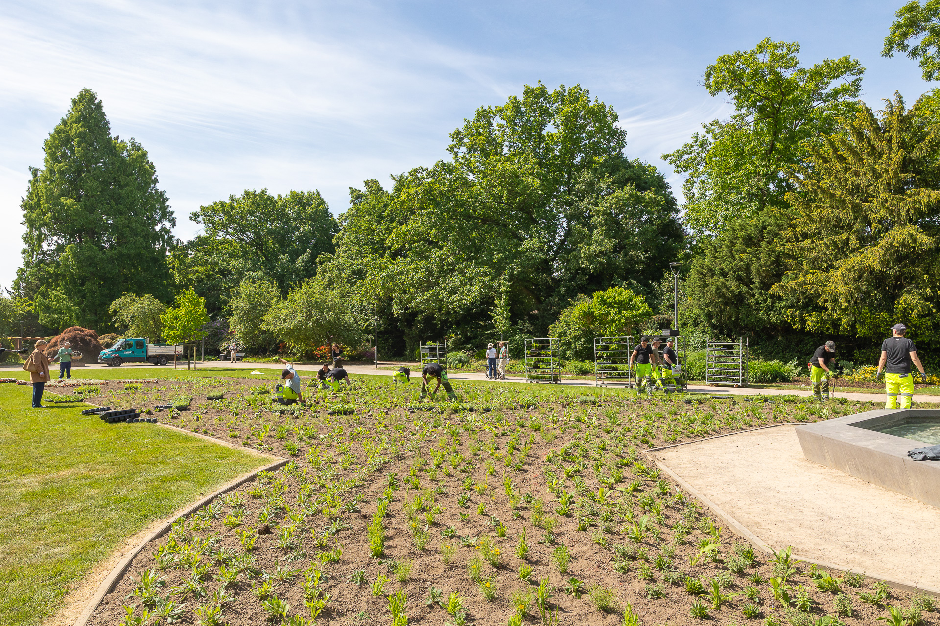 Großes Blumenbeet im Buten Garten wird von mags-Mitarbeitenden bepflanzt