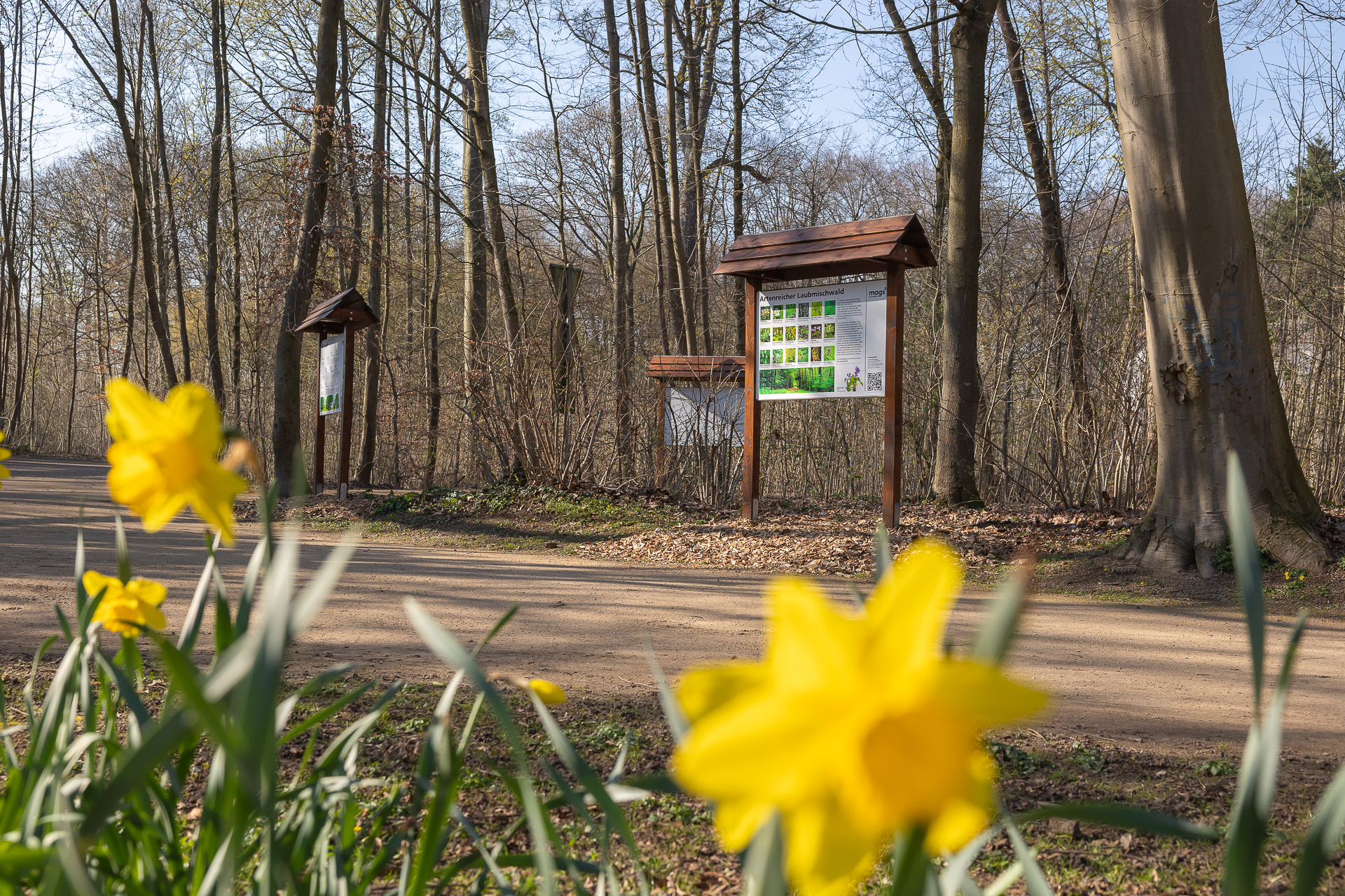3 Informationstafeln des Waldlehrpfads im Volksgarten.